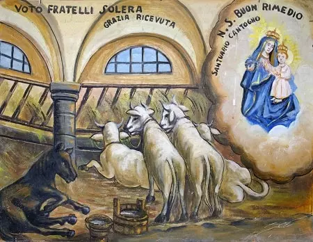 Ex voto bestiame nel Santuario Madonna del buon rimedio in fraz Cantogno