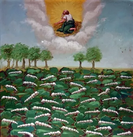 Ex voto bestiame nel Santuario Monte Bruno Garzigliana