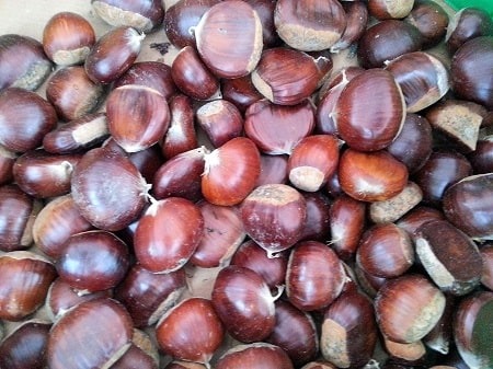 Castagne