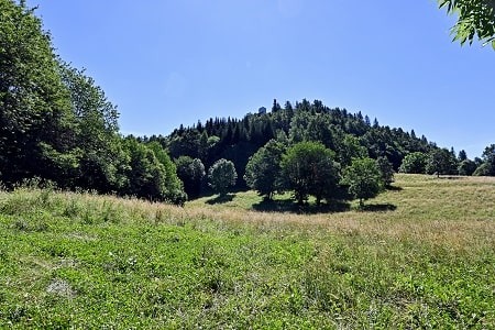 Cappelletta di San Michele 4