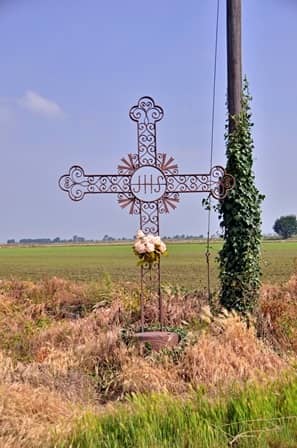 Croce nella risaia a Ronsecco