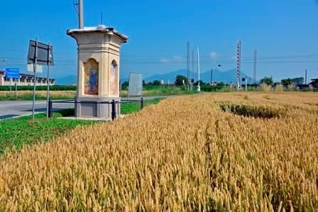 Piscina (To): pilone campestre tra strada e coltivi