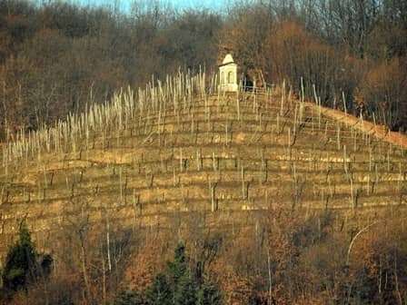 Bricherasio (val Pellice " To) Pilone posto a presidio di unl’area a vigneto