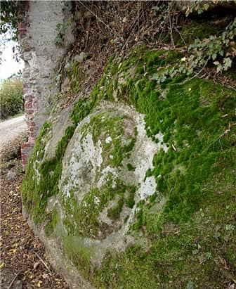 Péra d’la pansa alla base della Rocca di Cavour